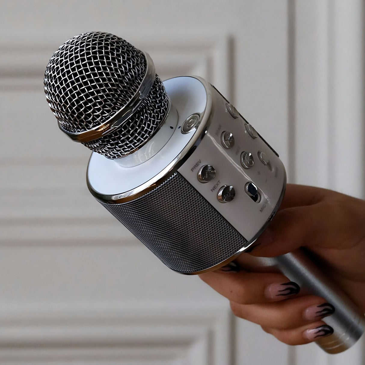 DRAADLOZE KARAOKE - LUIDSPREKERMICROFOON