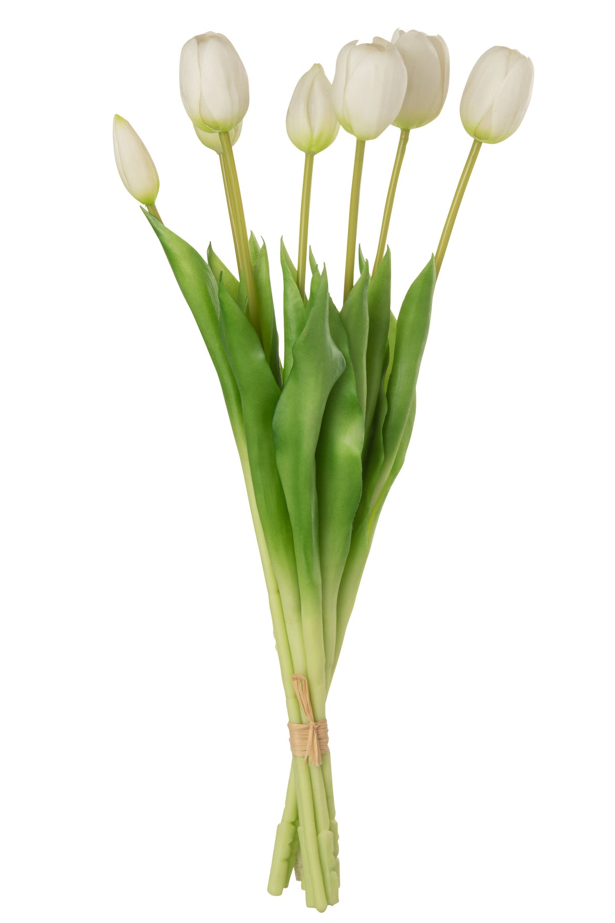 BOEKET TULPEN - WIT