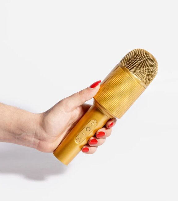 DRAADLOZE KARAOKE - LUIDSPREKERMICROFOON