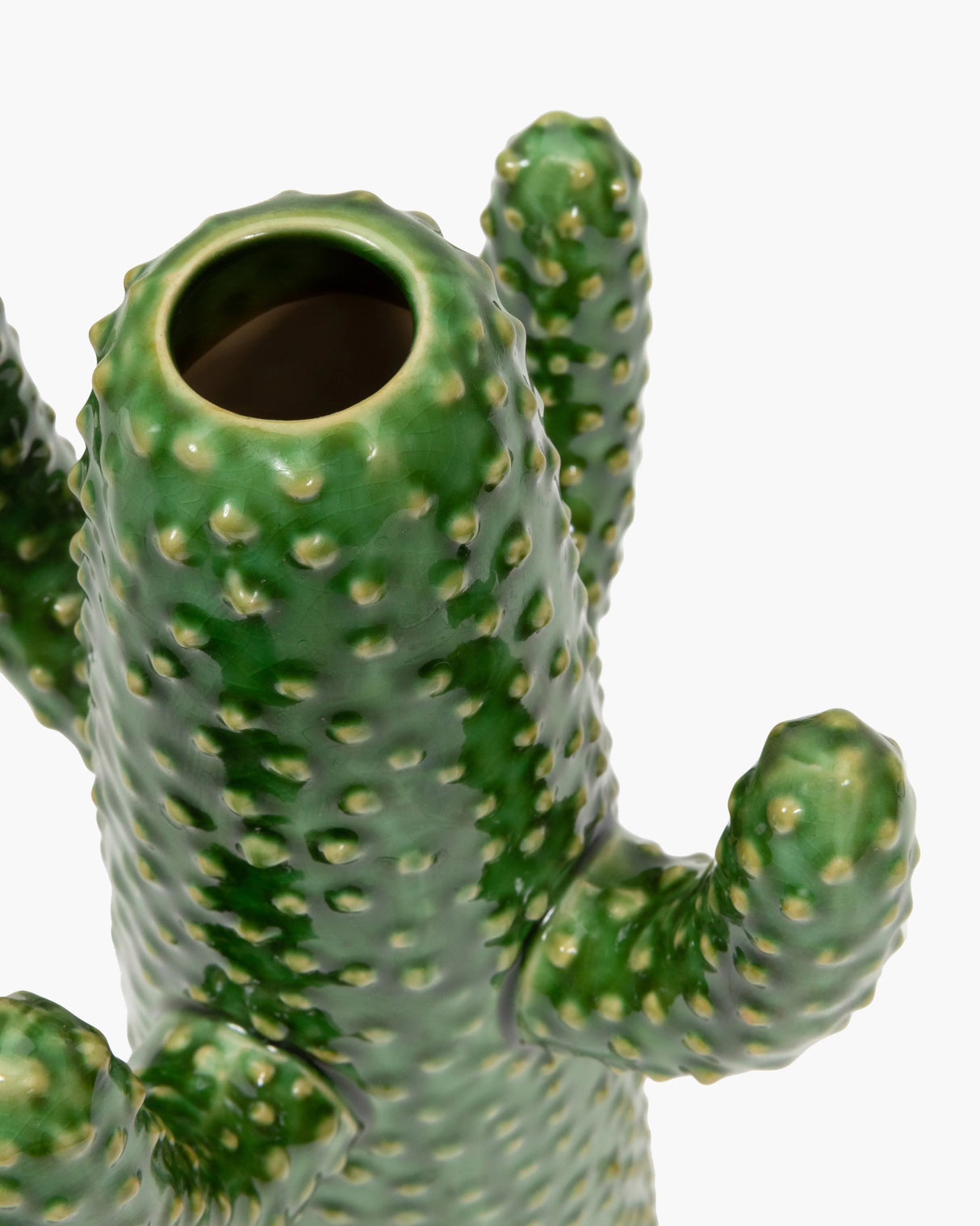 CACTUS VAAS - MEDIUM