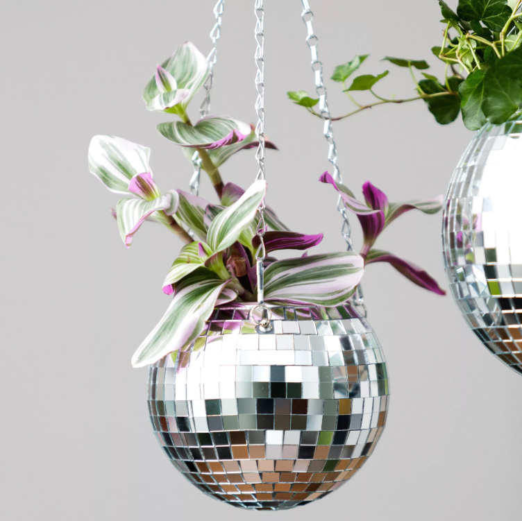 DISCO BAL PLANTENHOUDER - MEDIUM