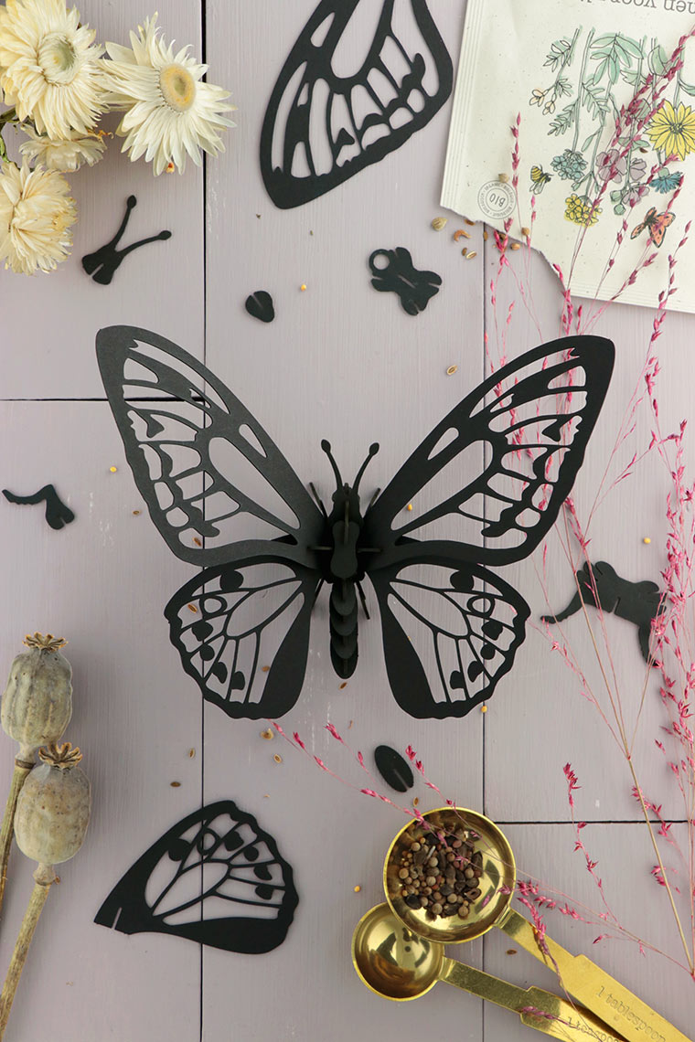 3D BIRDWING VLINDER