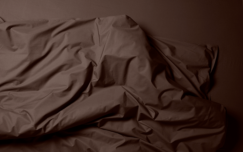 EENPERSOONS DEKBEDOVERTREK + KUSSENSLOOP / PERCALE KATOEN