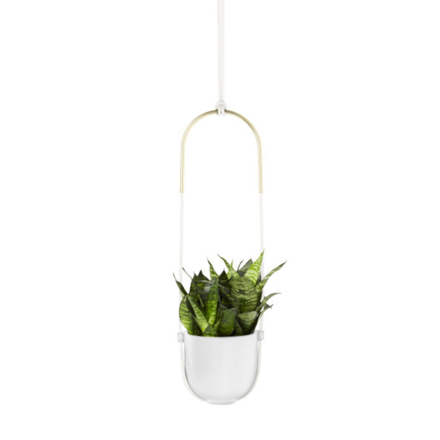BOLO PLANTER - WIT