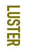 LUSTER