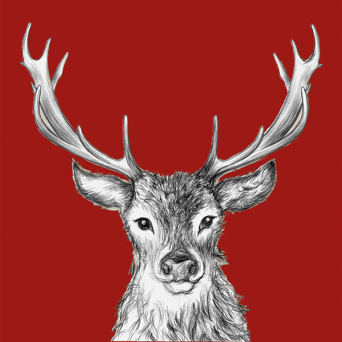 SERVETTEN - PAUL THE REINDEER
