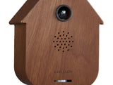 SOUND BOX MODERN CUCKOO - DARK WOOD