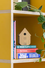SOUND BOX MODERN CUCKOO - LIGHT WOOD