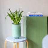 MILO VAAS - PISTACHIO