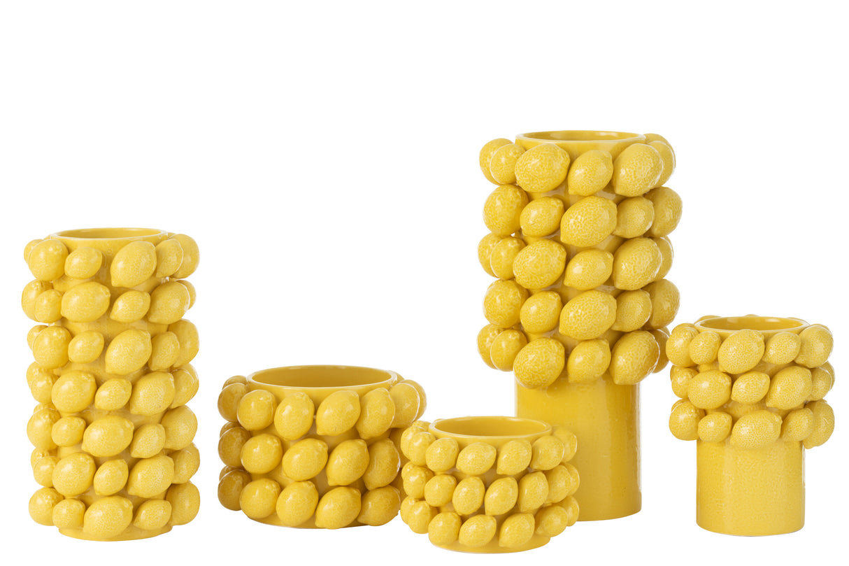 BLOEMPOT CITROEN - L