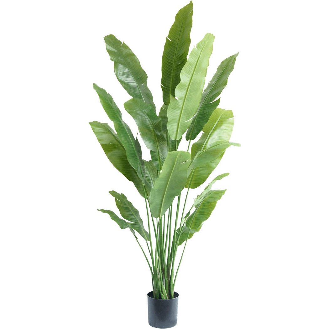 KUNSTPLANT STRELITZIA NICOLAI DELUXE 195 CM