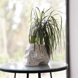 SKULL PLANTENPOT - DOTS