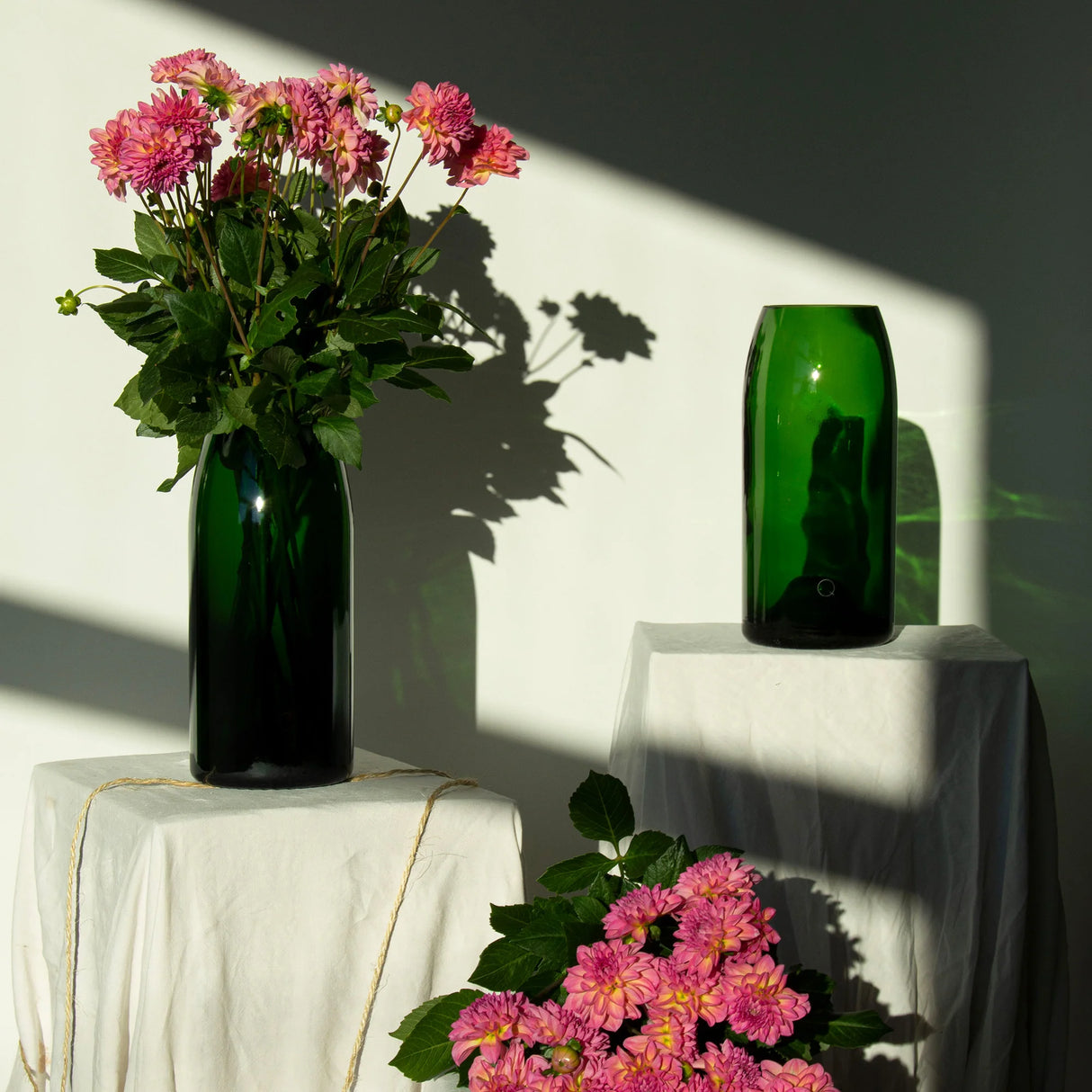 VAAS - GROEN