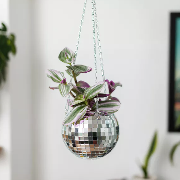 DISCO BAL PLANTENHOUDER - MEDIUM