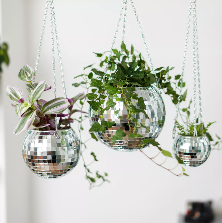 DISCO BAL PLANTENHOUDER - MEDIUM