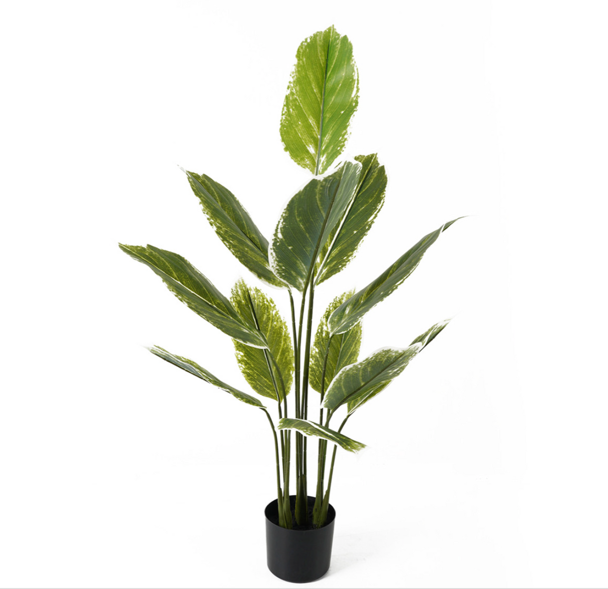 KUNSTPLANT CALATHEA LARGE