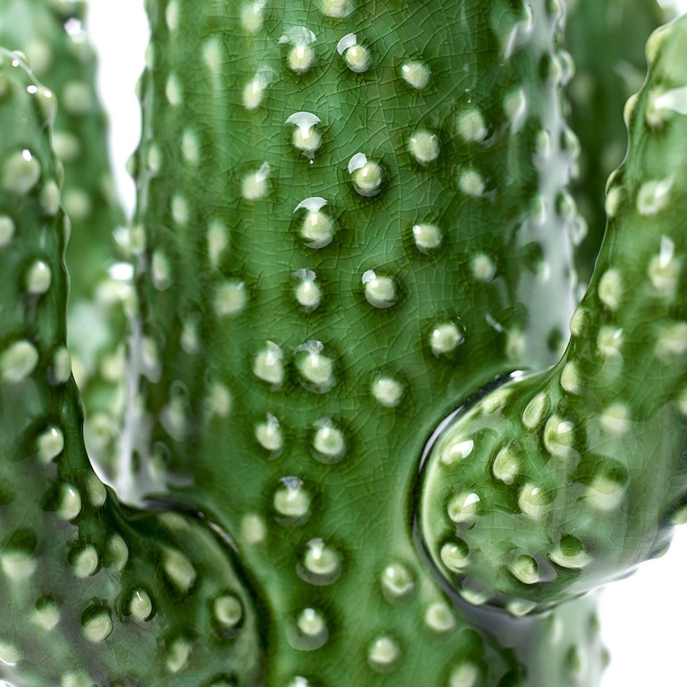 CACTUS VAAS -  MEDIUM