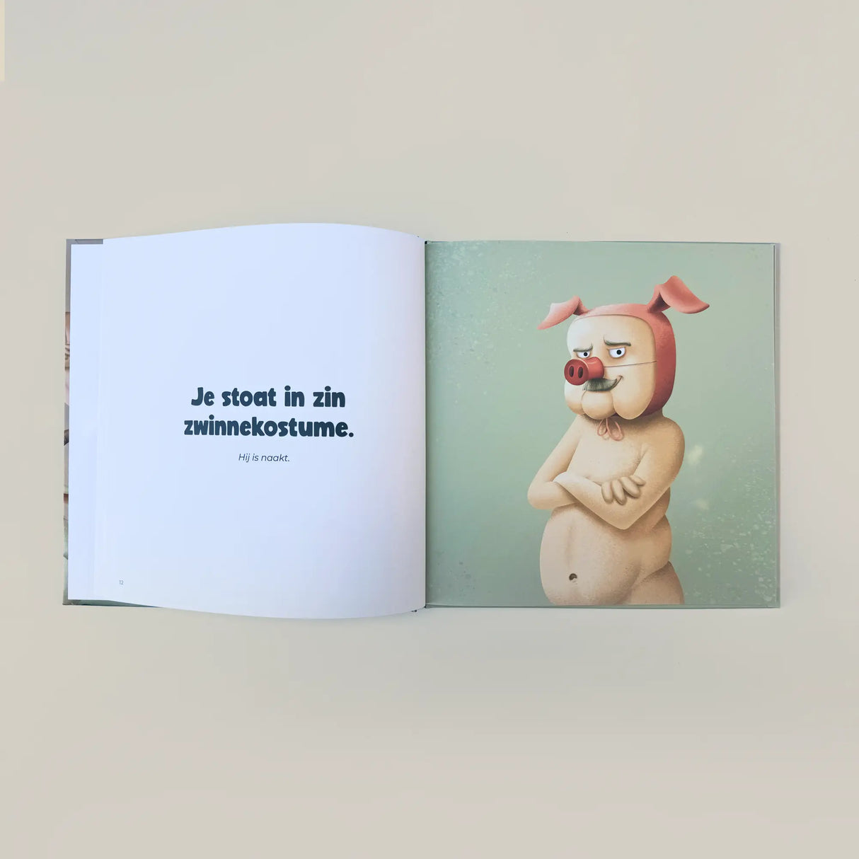 BOEK - WESTVLAMS GEZEGDENBOEK
