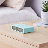 FLIP CLASSIC - MINT