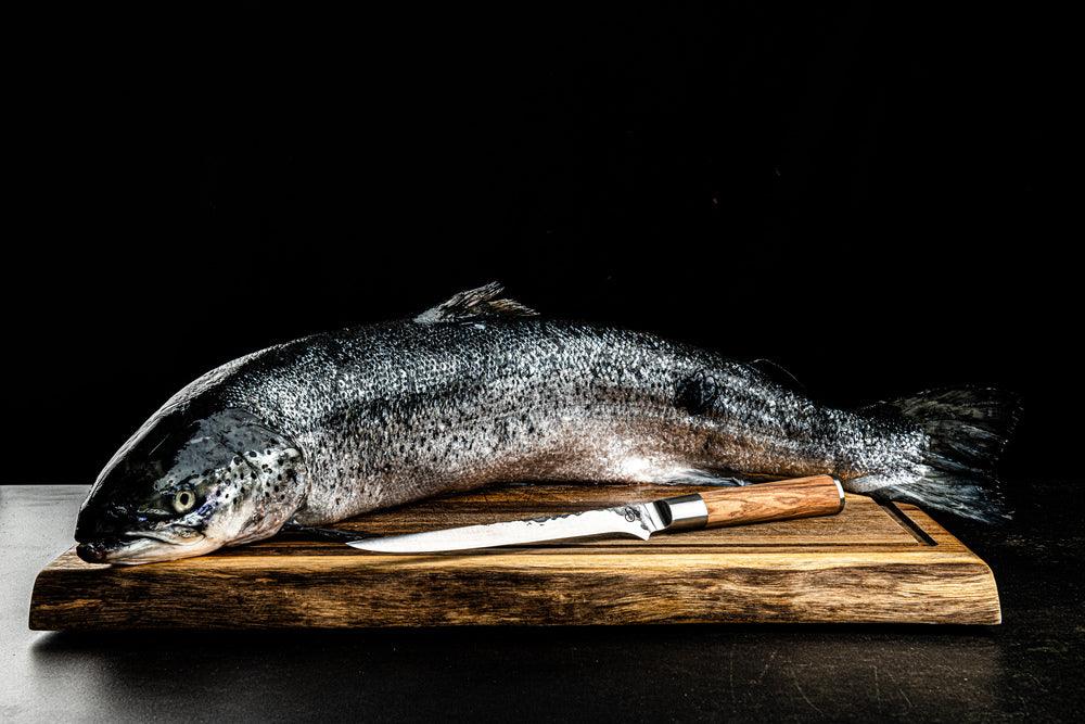 VIS FILEERMES 18 CM - OLIVE