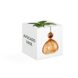 AVOCADO VAAS - SWEET APRICOT