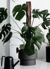 ZAKKIA PODIUM POT